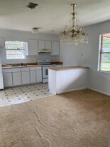 243 Deerwood Dr in Hinesville, GA - Building Photo