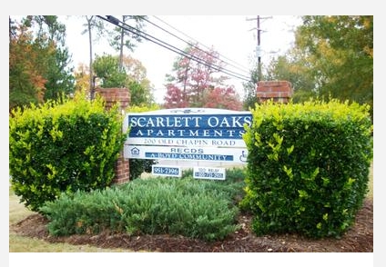 Scarlett Oaks in Lexington, SC - Building Photo - Building Photo