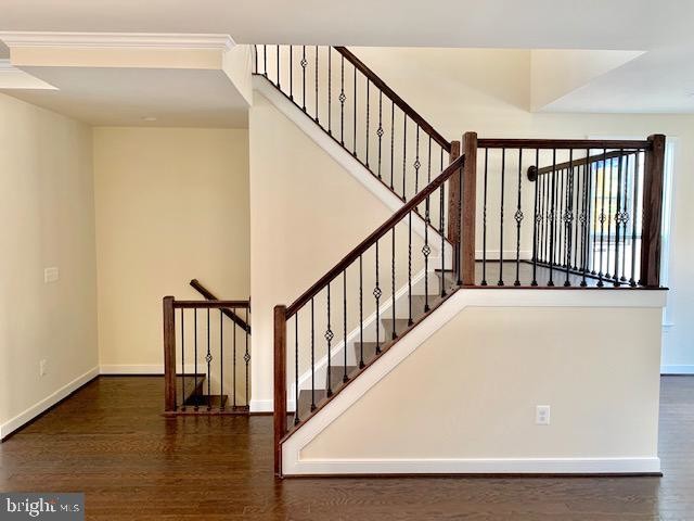 42296 Crawford Ter in Brambleton, VA - Building Photo - Building Photo