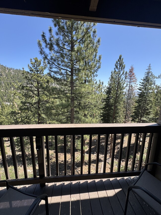 property at 115 Tramway Dr