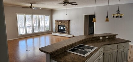 107 Cherokee Rd in Cherokee Village, AR - Building Photo - Building Photo