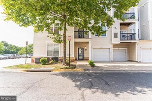 11343 Aristotle Dr in Fairfax, VA - Building Photo