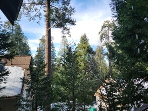 865 Bear Springs Rd in Twin Peaks, CA - Building Photo - Building Photo