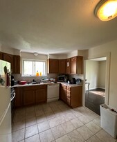 19 Kippy Dr in Waban, MA - Building Photo