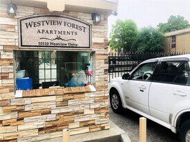 10110 Westview Dr in Houston, TX - Building Photo
