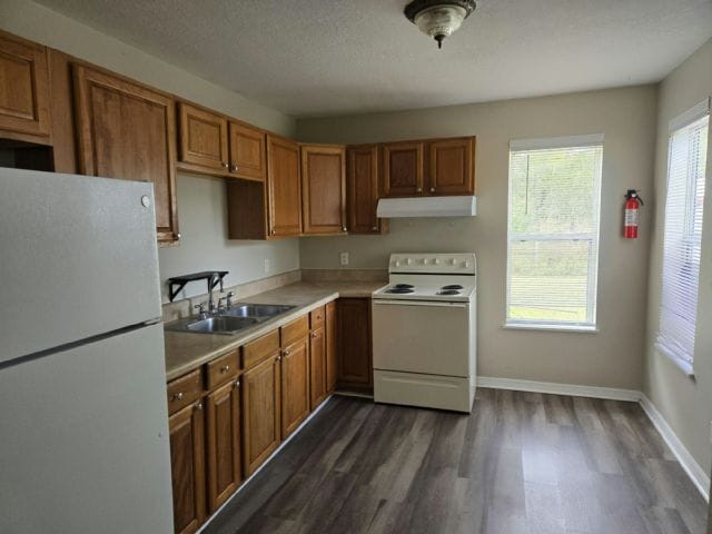 24 Webb Ln in Auburndale, FL - Building Photo - Building Photo