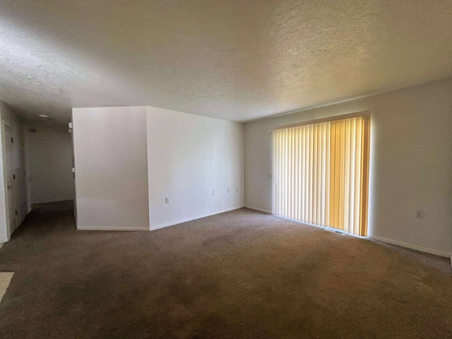 property at 347 Lenore St