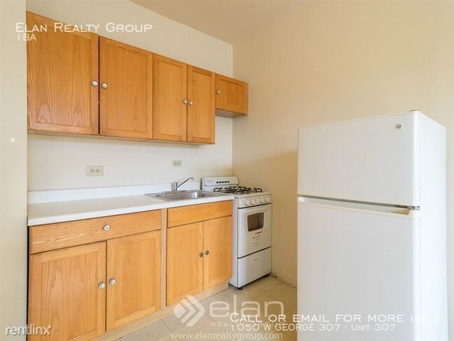 1050 W George St-Unit -Unit 307 in Chicago, IL - Building Photo - Building Photo