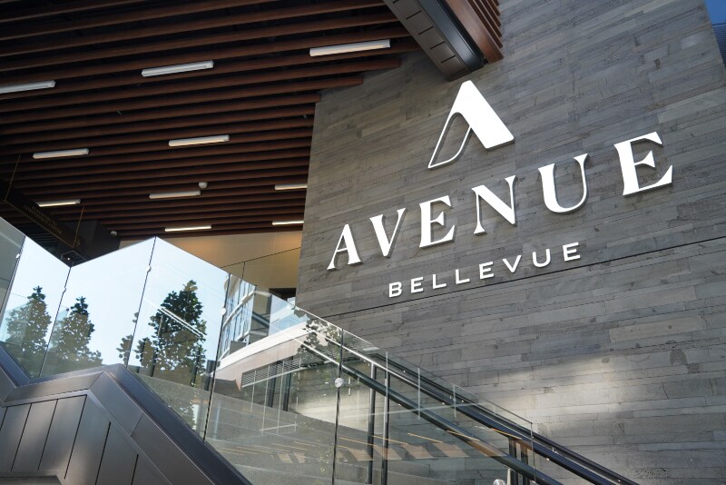 889 Ave Sq NE in Bellevue, WA - Building Photo