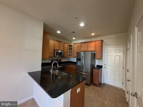 25549 Feltre Terrace in Chantilly, VA - Building Photo - Building Photo