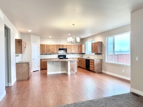 2260 Graceful St in Windsor, CO - Building Photo - Building Photo