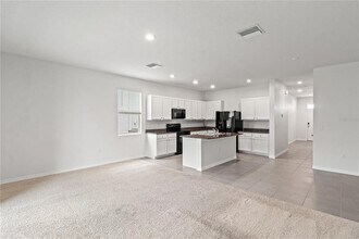 16178 Traditional Bluff Pl in Odessa, FL - Building Photo - Building Photo