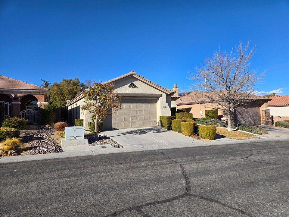 11226 Blanc Vineyard Ct in Las Vegas, NV - Building Photo