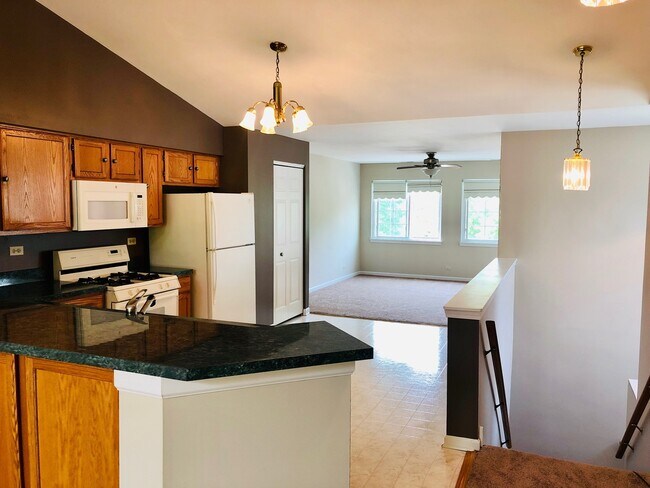 8225 Ripple Ridge in Darien, IL - Building Photo - Building Photo