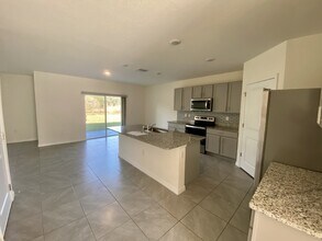 33367 Apricot Tree Ct in Wesley Chapel, FL - Foto de edificio - Building Photo