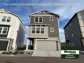 6977 Tacarcuna Wood Grv in Colorado Springs, CO - Building Photo