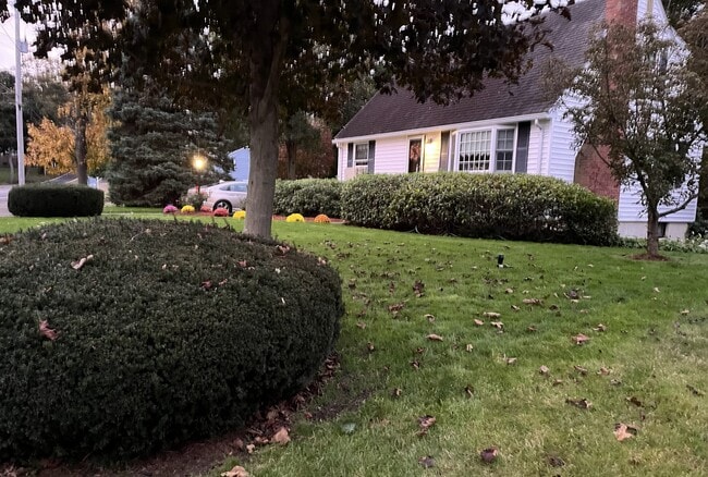 411 East St in Weymouth, MA - Building Photo - Building Photo