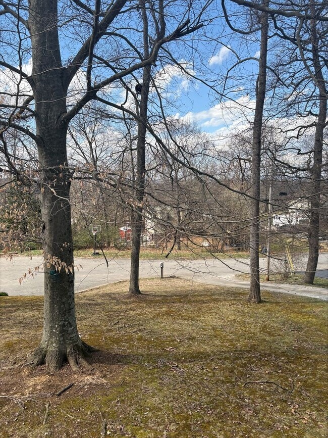 172 Village Ln in Gray, TN - Building Photo - Building Photo