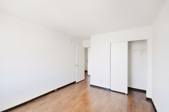 Edgewood Commons 611 in Washington, DC - Building Photo - Building Photo