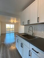 139-141-141 E Sycamore St in Pittsburgh, PA - Building Photo