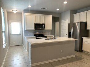 241 Syrah Ct in Leander, TX - Building Photo - Building Photo