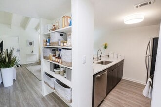 The Wynwood in Gainesville, FL - Building Photo - Building Photo