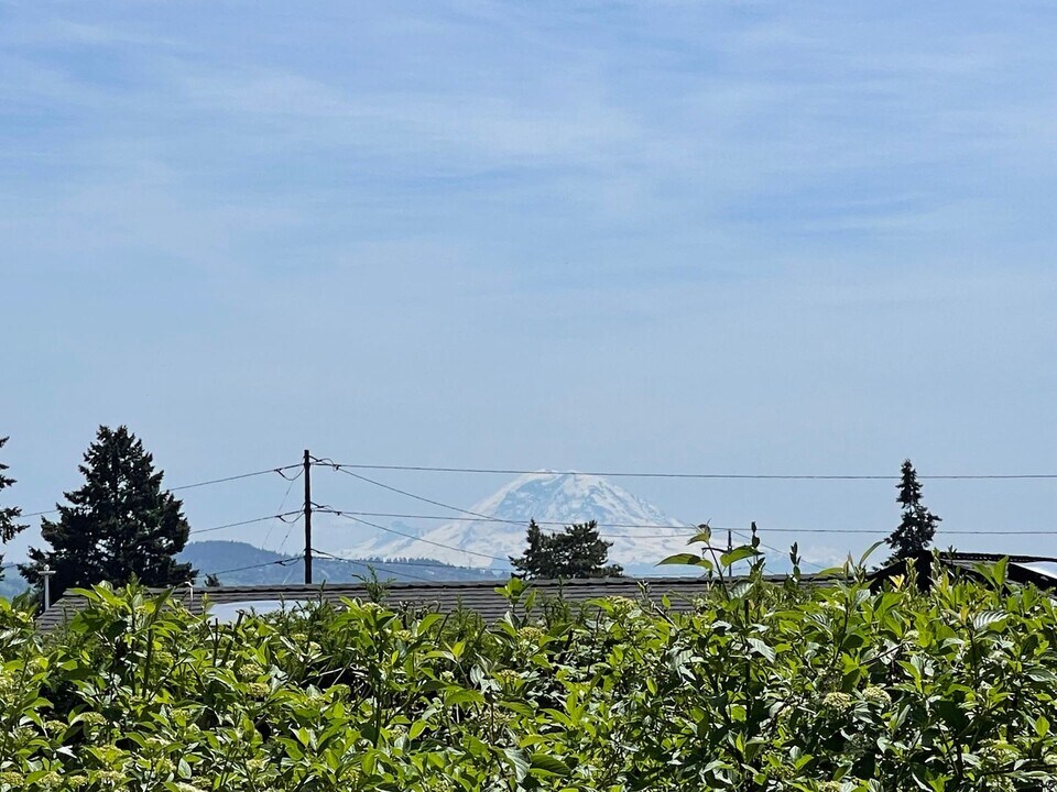 9815 Vineyard Crest in Bellevue, WA - Building Photo