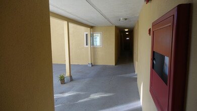 2606 Benvenue Ave in Berkeley, CA - Building Photo - Building Photo