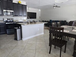 4335 Mount Bandon Dr in Land O Lakes, FL - Building Photo - Building Photo