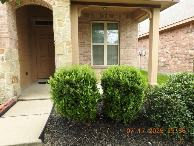 3667 Raintree Village Dr in Katy, TX - Building Photo - Building Photo