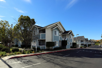 Reed & Brooke Apartments in Fallbrook, CA - Building Photo - Building Photo