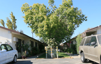 1405 Eucalyptus Ave in Newman, CA - Foto de edificio - Building Photo