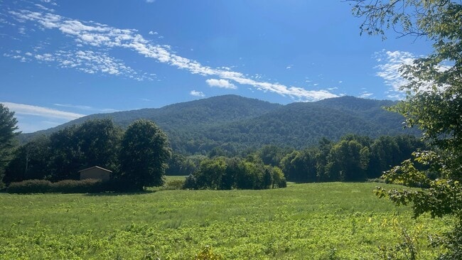 3883 Holders Grove Rd in Cosby, TN - Building Photo - Building Photo