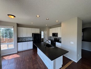 4046 Stampede Dr in Castle Rock, CO - Building Photo - Building Photo