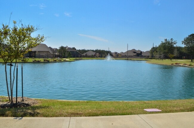 property at 20323 Mary Point Ln