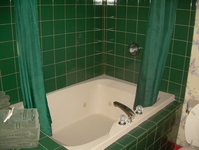 305 Oregon Ave, Unit MM in West Dundee, IL - Building Photo - Building Photo