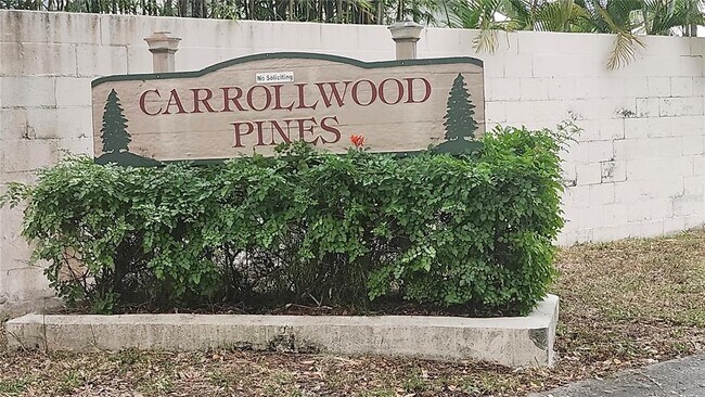 11710 Wesson Cir W in Tampa, FL - Building Photo - Building Photo