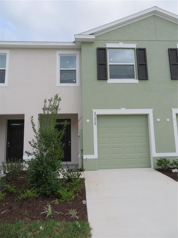 17212 Bigleaf Mahogany Ln in Land O Lakes, FL - Building Photo - Building Photo