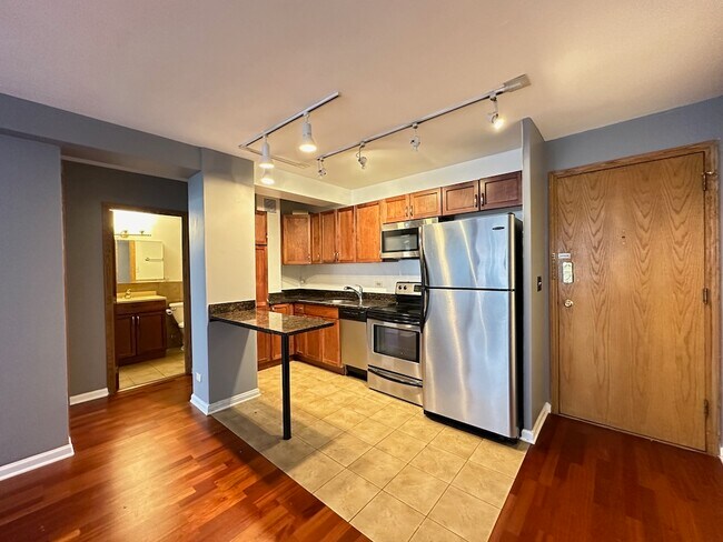 4180 N Marine Dr, Unit 3031 in Chicago, IL - Building Photo - Building Photo