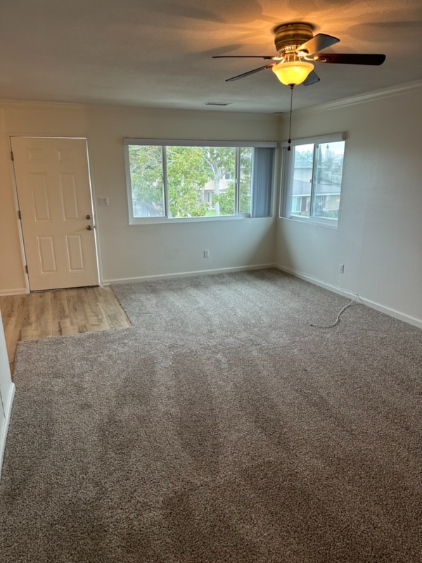 3111 Mace Ave in Costa Mesa, CA - Building Photo - Building Photo