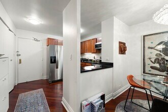 222 E Pearson St, Unit 1005 in Chicago, IL - Building Photo - Building Photo