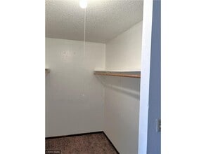 539 S Wasson Ln in River Falls, WI - Building Photo - Building Photo