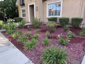 7875 Kennard Ln in San Ramon, CA - Building Photo - Building Photo