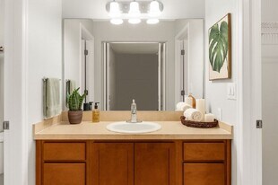 River Trace Apartments in New Port Richey, FL - Building Photo