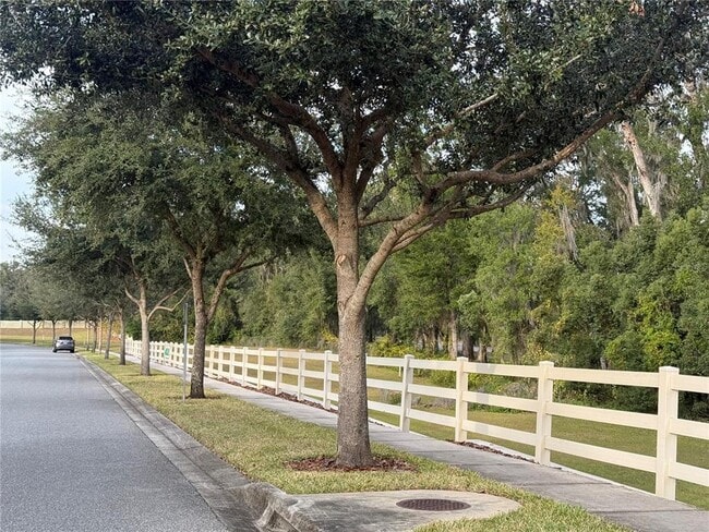 1142 E 10th St in Apopka, FL - Building Photo - Building Photo