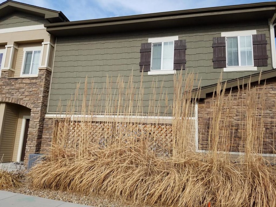 2405 Calais Dr in Longmont, CO - Foto de edificio