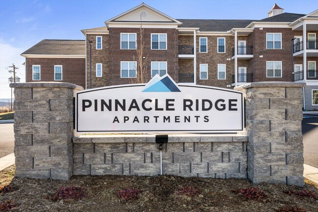 property at 397 Mule Academy Rd