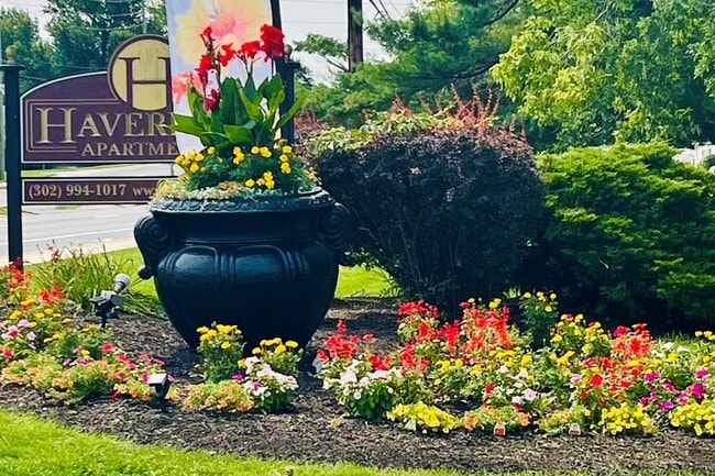 Haverford Apartments