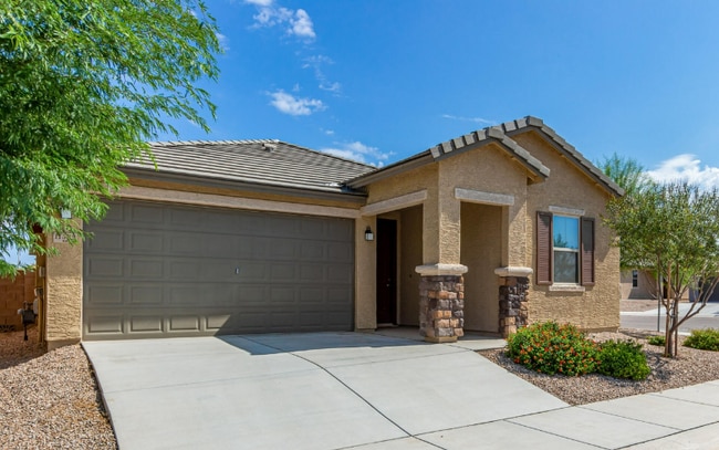 11522 W Oilseed Dr in Marana, AZ - Building Photo - Building Photo