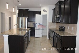 33163 Sand Creek Dr in Wesley Chapel, FL - Building Photo - Building Photo